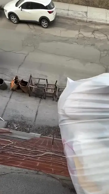 Trash Toss video thumbnail