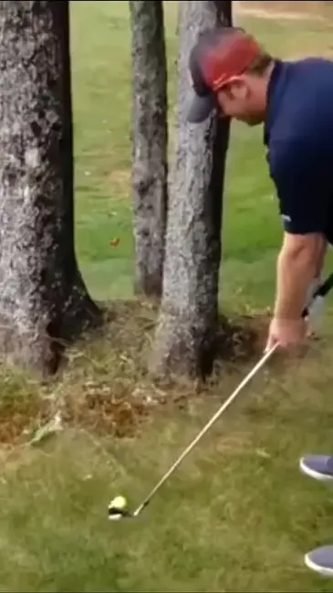 Tree Smash video thumbnail