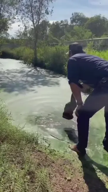 Feed Gator video thumbnail