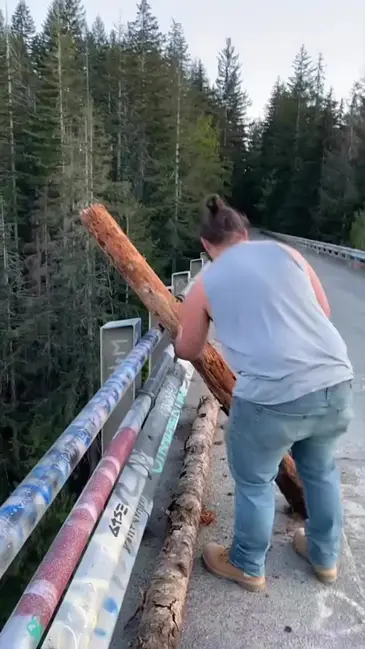 Lumber Toss video thumbnail