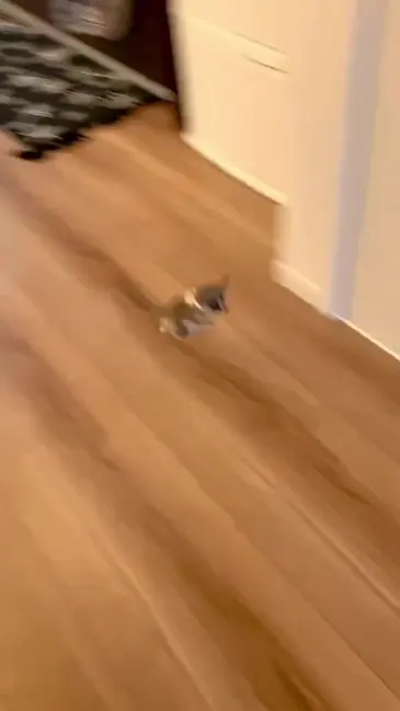 What is it? video thumbnail