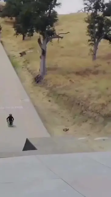 Tony Hawk video thumbnail