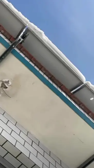 Snowy Surprise video thumbnail