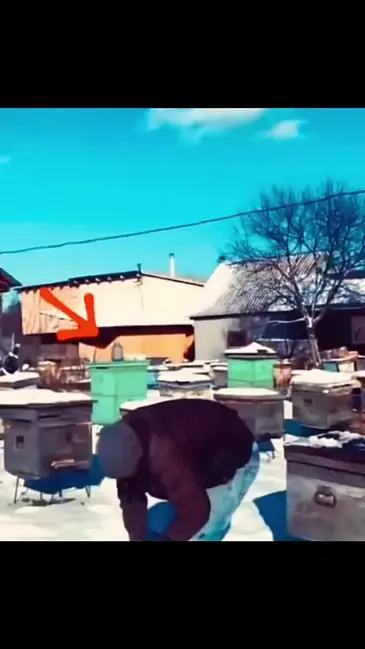 Snowball Surprise video thumbnail