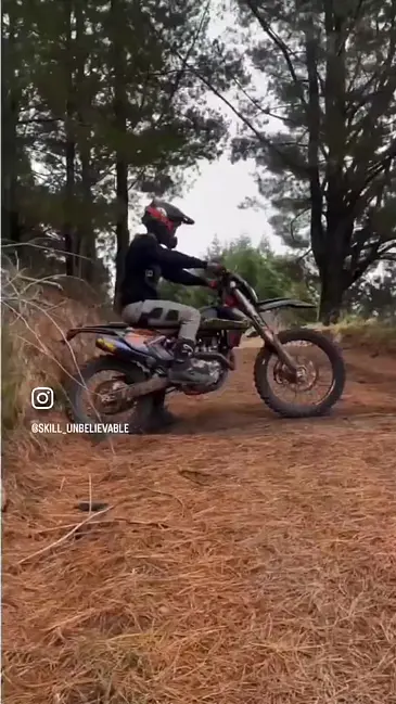 Motor Tree video thumbnail