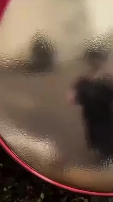 Glass Break video thumbnail