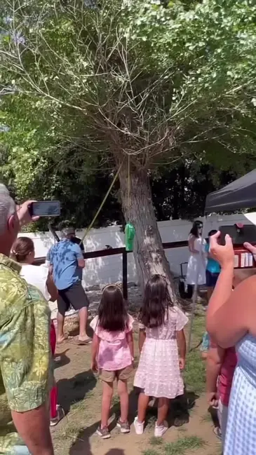 Pinata Catch video thumbnail