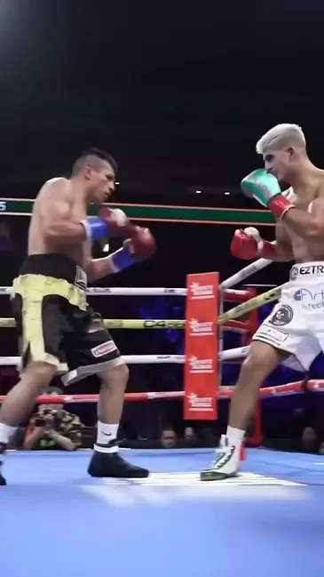 Boxing KO video thumbnail