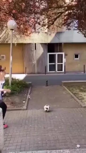 Soccer Ball Window video thumbnail