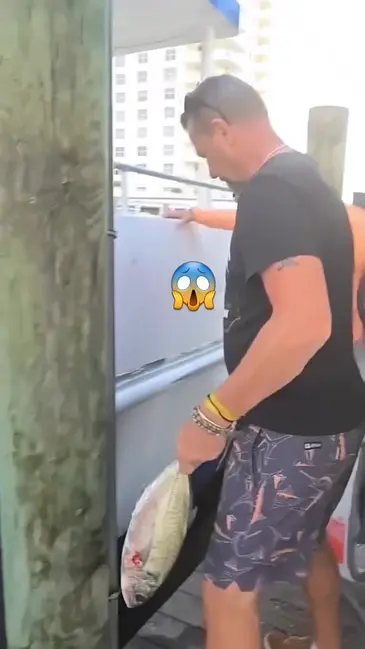 Here Fishy Fishy video thumbnail