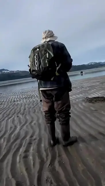 Bear Attack video thumbnail