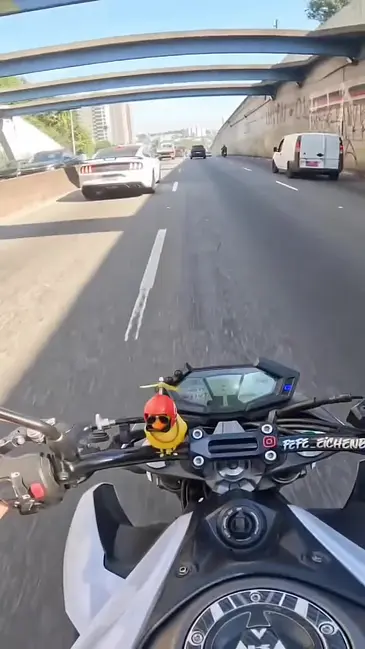 Rear End Bike video thumbnail