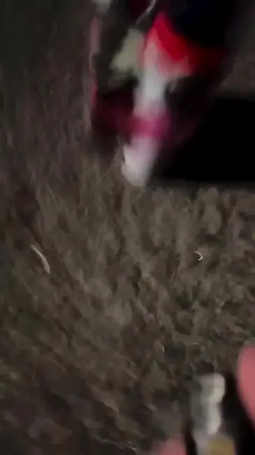 Firework Surprise video thumbnail