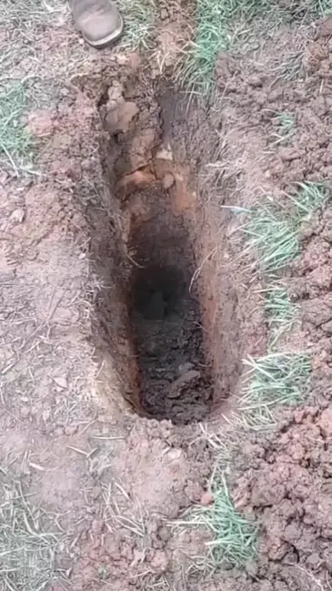 Muddy Surprise video thumbnail