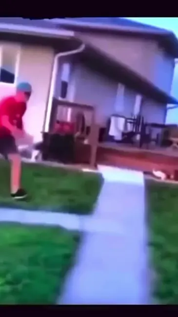 Spin Kick video thumbnail