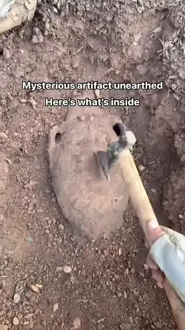 Open Fossil video thumbnail
